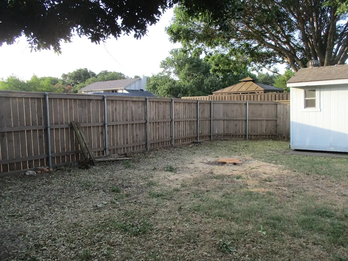Cleared yard after professional tree removal in Natural Bridge